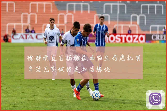 徐静雨直言杨瀚森面临生存危机明年若无突破将更加边缘化