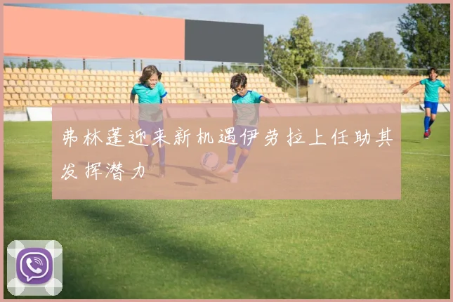 弗林蓬迎来新机遇伊劳拉上任助其发挥潜力