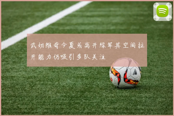 武切维奇今夏或离开绿军其空间拉开能力仍吸引多队关注